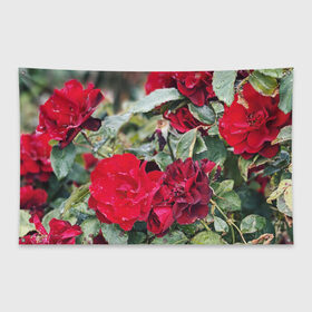 Флаг-баннер с принтом Red Roses в городе Новоалтайск, 100% полиэстер | размер 67 х 109 см, плотность ткани — 95 г/м2; по краям флага есть четыре люверса для крепления | bush | floral | flower | garden | green | nature | red roses | бутоны | красная роза | куст | листья | природа | роза | сад | цветение | цветок | цветы