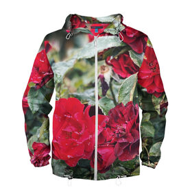 Мужская ветровка 3D с принтом Red Roses в городе Новоалтайск, 100% полиэстер | подол и капюшон оформлены резинкой с фиксаторами, два кармана без застежек по бокам, один потайной карман на груди | bush | floral | flower | garden | green | nature | red roses | бутоны | красная роза | куст | листья | природа | роза | сад | цветение | цветок | цветы