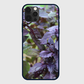 Чехол для iPhone 12 Pro Max с принтом Красный базилик в городе Новоалтайск, Силикон |  | 