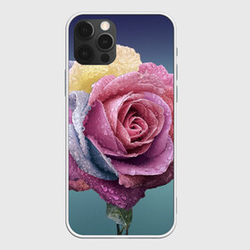 Чехол для iPhone 12 Pro Max с принтом Роза в городе Новоалтайск, Силикон |  | природа | разноцветная | разноцветные | растение | растения | роза | розочка | розочки | розы | цветная | цветные | цветок | цветы
