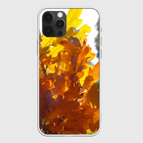 Чехол для iPhone 12 Pro Max с принтом Букет из осенних листьев в городе Новоалтайск, Силикон |  | Тематика изображения на принте: бабье лето | золотая осень | листья желтые | листья осенние | сентябрь | третье сентября