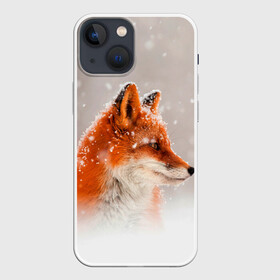 Чехол для iPhone 13 mini с принтом Лиса и снег в городе Новоалтайск,  |  | fox | foxy | животные | звери | зима | зимняя | лиса | лисичка | лисы | природа | снег | снежная