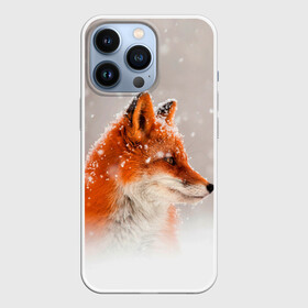 Чехол для iPhone 13 Pro с принтом Лиса и снег в городе Новоалтайск,  |  | fox | foxy | животные | звери | зима | зимняя | лиса | лисичка | лисы | природа | снег | снежная