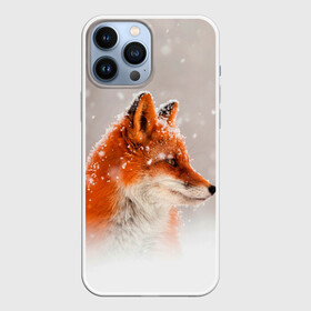 Чехол для iPhone 13 Pro Max с принтом Лиса и снег в городе Новоалтайск,  |  | Тематика изображения на принте: fox | foxy | животные | звери | зима | зимняя | лиса | лисичка | лисы | природа | снег | снежная