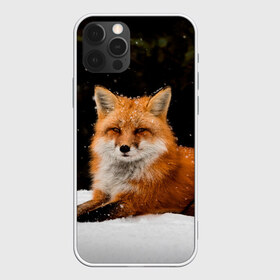 Чехол для iPhone 12 Pro Max с принтом Лиса и снег в городе Новоалтайск, Силикон |  | Тематика изображения на принте: fox | foxy | животные | звери | зима | зимняя | лиса | лисичка | лисы | природа | снег | снежная