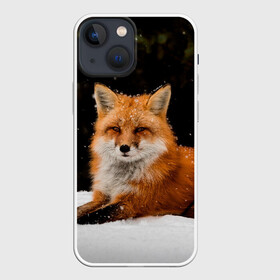 Чехол для iPhone 13 mini с принтом Лиса и снег в городе Новоалтайск,  |  | fox | foxy | животные | звери | зима | зимняя | лиса | лисичка | лисы | природа | снег | снежная