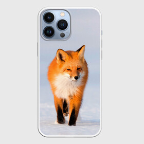 Чехол для iPhone 13 Pro Max с принтом FOX AND SNOW в городе Новоалтайск,  |  | Тематика изображения на принте: fox | foxy | животные | звери | зима | зимняя | лиса | лисичка | лисы | природа | снег | снежная