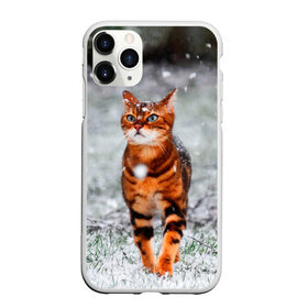 Чехол для iPhone 11 Pro Max матовый с принтом Кот и снег в городе Новоалтайск, Силикон |  | Тематика изображения на принте: cat | животные | звири | кис | киска | кот | котейка | котик | коты | котяра | кошка | кошки | природа