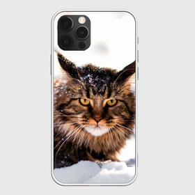 Чехол для iPhone 12 Pro Max с принтом Кот в снегу в городе Новоалтайск, Силикон |  | Тематика изображения на принте: cat | животные | звири | кис | киска | кот | котейка | котик | коты | котяра | кошка | кошки | природа