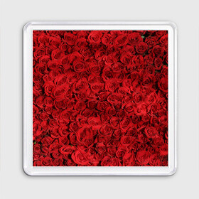Магнит 55*55 с принтом Roses в городе Новоалтайск, Пластик | Размер: 65*65 мм; Размер печати: 55*55 мм | алые розы | весна | деревья | касные розы | красная роза | красный цветок | лепестки | лес | лето | листья | май | милион алых роз | на каждый день | осень | поле | роза | розы | солнце | тропики | флора