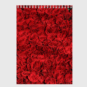 Скетчбук с принтом Roses в городе Новоалтайск, 100% бумага
 | 48 листов, плотность листов — 100 г/м2, плотность картонной обложки — 250 г/м2. Листы скреплены сверху удобной пружинной спиралью | Тематика изображения на принте: алые розы | весна | деревья | касные розы | красная роза | красный цветок | лепестки | лес | лето | листья | май | милион алых роз | на каждый день | осень | поле | роза | розы | солнце | тропики | флора