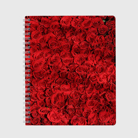 Тетрадь с принтом Roses в городе Новоалтайск, 100% бумага | 48 листов, плотность листов — 60 г/м2, плотность картонной обложки — 250 г/м2. Листы скреплены сбоку удобной пружинной спиралью. Уголки страниц и обложки скругленные. Цвет линий — светло-серый
 | алые розы | весна | деревья | касные розы | красная роза | красный цветок | лепестки | лес | лето | листья | май | милион алых роз | на каждый день | осень | поле | роза | розы | солнце | тропики | флора