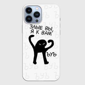 Чехол для iPhone 13 Pro Max с принтом ЪУЪ ЗЛЫЕ ВЫ, Я К ВАМ в городе Новоалтайск,  |  | Тематика изображения на принте: cat | mem | memes | злой | интернет | кот | мем | мем кот | приколы | съука | ъуъ | ъуъ съука