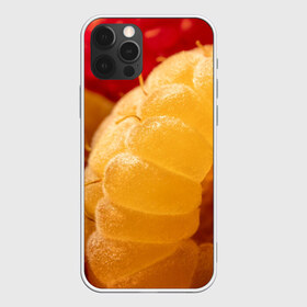 Чехол для iPhone 12 Pro Max с принтом Малина в городе Новоалтайск, Силикон |  | еда | жёлтая | жёлтые | красная | красные | малина | малинка | природа | растение | растения | ягода | ягодки | ягоды