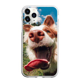 Чехол для iPhone 11 Pro Max матовый Собака с языком: в городе Новоалтайск, Силикон | | dog | дворняга | дворняжка | зубы | лапы | лес | мем | пес | прикол | слюни | смешные животные | собака | собака с языком | щенок | юмор | язык