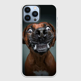 Чехол для iPhone 13 Pro Max с принтом Это всё мне в городе Новоалтайск,  |  | dog | зубы | лапы | мем | пес | прикол | слюни | смешные животные | собака | собачка | щенок | это всё мне | юмор | язык