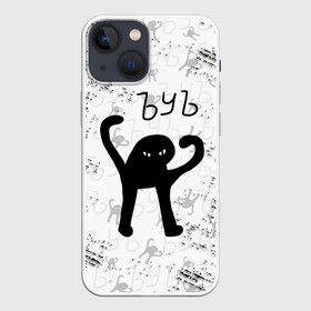 Чехол для iPhone 13 mini с принтом ЪУЪ СЪУКА в городе Новоалтайск,  |  | cat | mem | memes | злой | интернет | кот | мем | мем кот | приколы | съука | ъуъ | ъуъ съука