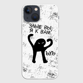 Чехол для iPhone 13 mini с принтом ЪУЪ СЪУКА в городе Новоалтайск,  |  | cat | mem | memes | злой | интернет | кот | мем | мем кот | приколы | съука | ъуъ | ъуъ съука