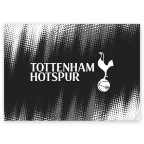 Поздравительная открытка с принтом TOTTENHAM HOTSPUR / Тоттенхэм в городе Новоалтайск, 100% бумага | плотность бумаги 280 г/м2, матовая, на обратной стороне линовка и место для марки
 | club | footbal | hotspur | logo | tottenham | знак | клуб | логотип | логотипы | символ | символы | тоттенхэм | форма | футбол | футбольная | футбольный | хотспур