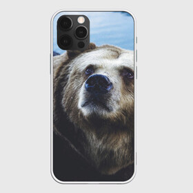 Чехол для iPhone 12 Pro Max с принтом Гризли в городе Новоалтайск, Силикон |  | Тематика изображения на принте: гризли | зверь | медведь | мишка