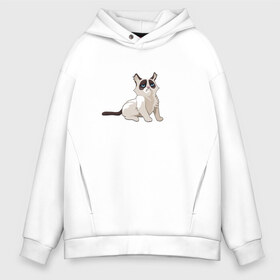 Мужское худи Oversize хлопок с принтом grumpy kitty в городе Новоалтайск, френч-терри — 70% хлопок, 30% полиэстер. Мягкий теплый начес внутри —100% хлопок | боковые карманы, эластичные манжеты и нижняя кромка, капюшон на магнитной кнопке | animal | cat | grumpy kitty | kitten | sad | грустный | животное | кот | котёнок