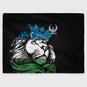 Плед 3D с принтом Узбекистан в городе Новоалтайск, 100% полиэстер | закругленные углы, все края обработаны. Ткань не мнется и не растягивается | crescent | crown | eagle | flag | islam | king | lion | republic | stars | uzbekistan | звезды | ислам | король | корона | лев | орел | полумесяц | республика | узбекистан | флаг | царь