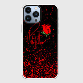Чехол для iPhone 13 Pro Max с принтом ТИКТОКЕР   PAYTON MOORMEIE. в городе Новоалтайск,  |  | Тематика изображения на принте: payton | payton moormeie | tiktok | блогер | блогеры | знаменитости | музыка | пейтон | пейтон моормиер | популярные иллюстрации | прикольные картинки | тик ток | тиктокер