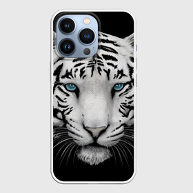 Чехол для iPhone 13 Pro с принтом Белый тигр в городе Новоалтайск,  |  | Тематика изображения на принте: белый тигр | крупный тигр | крупным планом | с голубыми глазами | тигры