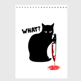 Скетчбук с принтом What Cat в городе Новоалтайск, 100% бумага
 | 48 листов, плотность листов — 100 г/м2, плотность картонной обложки — 250 г/м2. Листы скреплены сверху удобной пружинной спиралью | cat | cats | halloween | what | кот | котенок | коты | котяра | кошак | кошка | нож | пушистый | хэллоуин | что