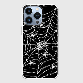 Чехол для iPhone 13 Pro с принтом Паутина с пауками в городе Новоалтайск,  |  | Тематика изображения на принте: black and white | darkness | halloween | horror | night | spider | web | готика | жуки | жуткий | мальчикам | насекомые | нечисть | нити | ночные | ночь | пауки | паутина | подарок | сетка | страшный | темный | тьма | хеллоуин | хоррор