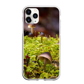 Чехол для iPhone 11 Pro матовый с принтом Мох в городе Новоалтайск, Силикон |  | Тематика изображения на принте: гриб | грибы | дерево | деревья | зелёные | зелёный | зелень | лес | леса | лесной | мох | мхи | пенёк | пеньки | пни | поганка | поганки | природа | природный | флора