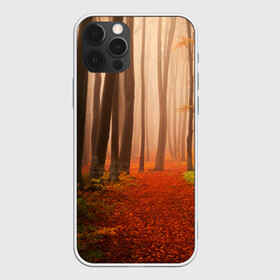 Чехол для iPhone 12 Pro с принтом Осенний лес в городе Новоалтайск, силикон | область печати: задняя сторона чехла, без боковых панелей | деревья | лес | листва | осенний лес | осень | природа