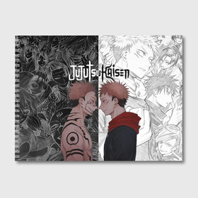 Альбом для рисования с принтом Jujutsu Kaisen Сукуна х Юдзи в городе Новоалтайск, 100% бумага
 | матовая бумага, плотность 200 мг. | anime | black | cursed spirit | demon | evil | good | itadori yuji | magic battle | shaman | sukuna | white | ying yang | аниме | белое | годжо сатору | демон | добро | зло | инь ян | итадори юдзи | кугисаки | магическая битва | проклятый дух | рёмен суку