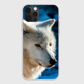 Чехол для iPhone 12 Pro Max с принтом Северный волк в городе Новоалтайск, Силикон |  | wolf | wolfs | волк | волки | волчара | животные | звери | лес | природа