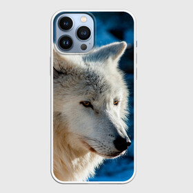Чехол для iPhone 13 Pro Max с принтом Волк на черном фоне в городе Новоалтайск,  |  | Тематика изображения на принте: wolf | wolfs | волк | волки | волчара | животные | звери | лес | природа