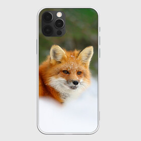 Чехол для iPhone 12 Pro Max с принтом Лисичка в снегу в городе Новоалтайск, Силикон |  | Тематика изображения на принте: fox | foxy | животные | звери | зима | зимняя | лиса | лисичка | лисы | природа | снег | снежная