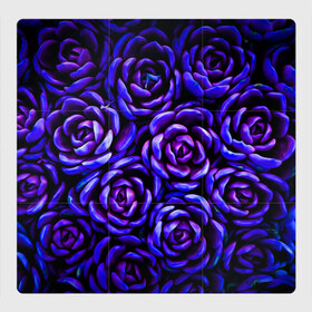 Магнитный плакат 3Х3 с принтом Lovely Roses в городе Новоалтайск, Полимерный материал с магнитным слоем | 9 деталей размером 9*9 см | flowers | large | lovely roses | plants | purple | roses | succulent | texture | крупный | прекрасные розы | растения | розы | суккулент | текстура | фиолетовый | цветы