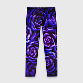 Детские леггинсы 3D с принтом Lovely Roses в городе Новоалтайск, полиэстер 85%, спандекс 15% | эластичный пояс, зауженный крой | flowers | large | lovely roses | plants | purple | roses | succulent | texture | крупный | прекрасные розы | растения | розы | суккулент | текстура | фиолетовый | цветы