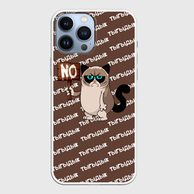 Чехол для iPhone 13 Pro Max с принтом GRUMPY CAT в городе Новоалтайск,  |  | Тематика изображения на принте: cat | grampy | grumpy cat | грустная мордочка | грустное лицо | грустный | грустный кот | грустный кот мем | грусть | кот | кот мем | кот тыгыдык | мем | мем тыгыдык | прикольный кот | серьёзный кот | тыгыдык