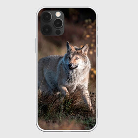 Чехол для iPhone 12 Pro Max с принтом WOLF в городе Новоалтайск, Силикон |  | wolf | wolfs | волк | волки | волчара | животные | звери | лес | природа