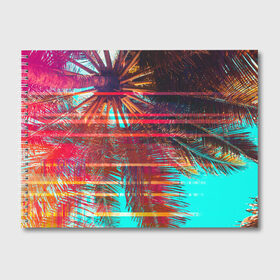Альбом для рисования с принтом Palm glitch art в городе Новоалтайск, 100% бумага
 | матовая бумага, плотность 200 мг. | Тематика изображения на принте: art | astraction | glitch | palm | sky | абстракция | арт | ветки | глитч | листья | небо | пальмы