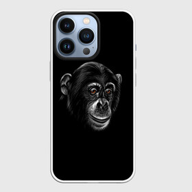 Чехол для iPhone 13 Pro с принтом Обезьяна в городе Новоалтайск,  |  | животные | обезьяна | обезьяны | приматы | шимпанзе