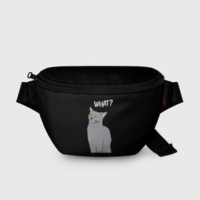Поясная сумка 3D с принтом What cat в городе Новоалтайск, 100% полиэстер | плотная ткань, ремень с регулируемой длиной, внутри несколько карманов для мелочей, основное отделение и карман с обратной стороны сумки застегиваются на молнию | cat | kitten | kitty | what кот | британская кошка | британский кот | в смысле | взгляд | вопрос | вопросительный знак | глаза кота | животные | кот мем | котенок | котик | котята | кошак | кошка | мемы