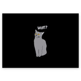 Поздравительная открытка с принтом What cat в городе Новоалтайск, 100% бумага | плотность бумаги 280 г/м2, матовая, на обратной стороне линовка и место для марки
 | Тематика изображения на принте: cat | kitten | kitty | what кот | британская кошка | британский кот | в смысле | взгляд | вопрос | вопросительный знак | глаза кота | животные | кот мем | котенок | котик | котята | кошак | кошка | мемы