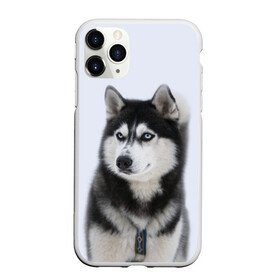 Чехол для iPhone 11 Pro Max матовый с принтом ХАСКИ в городе Новоалтайск, Силикон |  | dog | husky | милый | пес | песик | собака | собачка | хаски | щенок