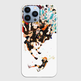 Чехол для iPhone 13 Pro Max с принтом Все герои Haikyuu в городе Новоалтайск,  |  | Тематика изображения на принте: anime | haikuu | haikyu | haikyuu | haikyy | kageyama | karasuno | nekoma | voleyball | аниме | волейбол | кагеяма | карасуно | некома | хайку | хината | шаторидзава