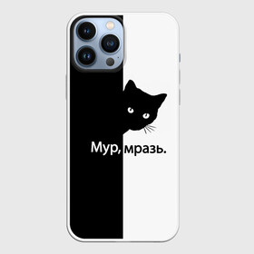 Чехол для iPhone 13 Pro Max с принтом Черный кот в городе Новоалтайск,  |  | Тематика изображения на принте: буквы | глаза | кот | котик | кошка | минимал | надпись | настроение | простая надпись | текст | черно белое | черный кот | черный фон