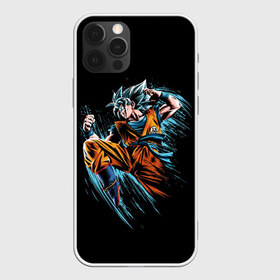 Чехол для iPhone 12 Pro Max с принтом Fighter в городе Новоалтайск, Силикон |  | anime | art | character | drawing | fighter | street fighter | аниме | арт | боец | каратист | персонаж | рисунок | уличный боец
