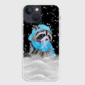 Чехол для iPhone 13 mini с принтом Енот в городе Новоалтайск,  |  | 2021 | белка | варежки | дед мороз | детям | дочка | елка | енот | енотик | животное | космос | кот | котик | кошак | лес | лиса | лисенок | модная | новогодняя | новый год | полоскун | праздник | прикольная