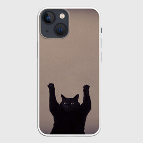 Чехол для iPhone 13 mini с принтом Кот сдается в городе Новоалтайск,  |  | Тематика изображения на принте: cat | арест | испуг | кот | руки вверх | черный кот